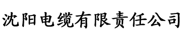 伟忠与梦莹电缆厂logo